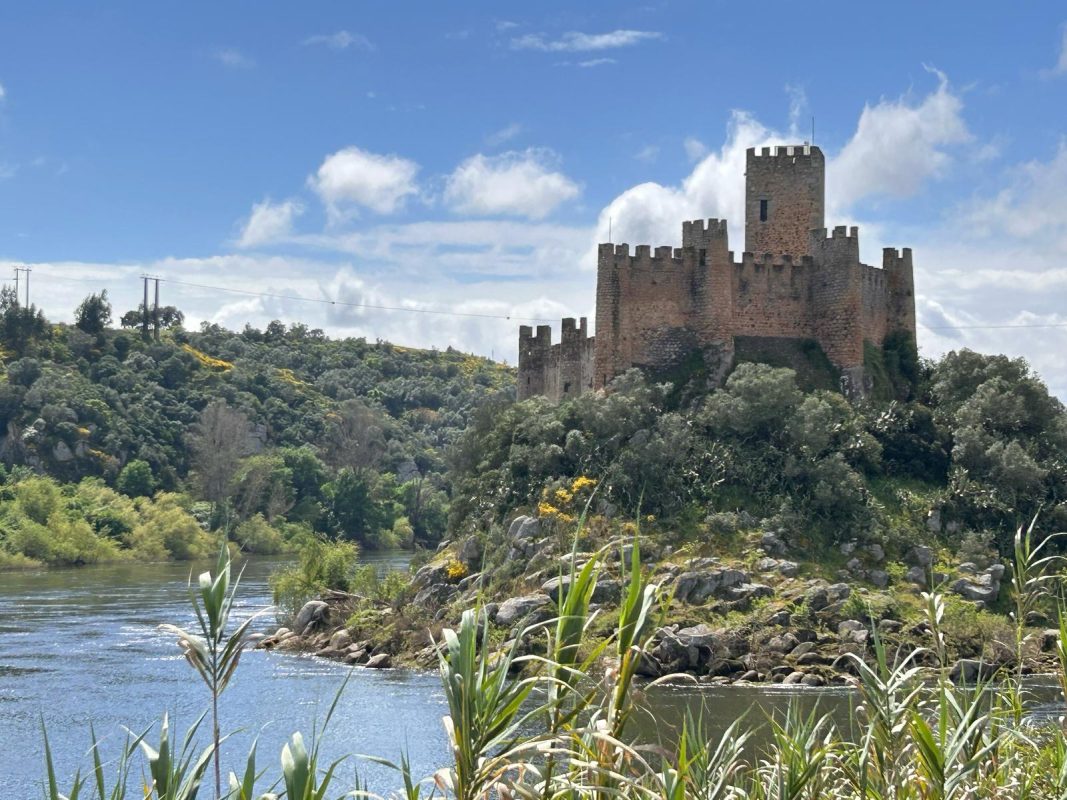 WhatsApp Image 2025-04-13 at 22.03.25