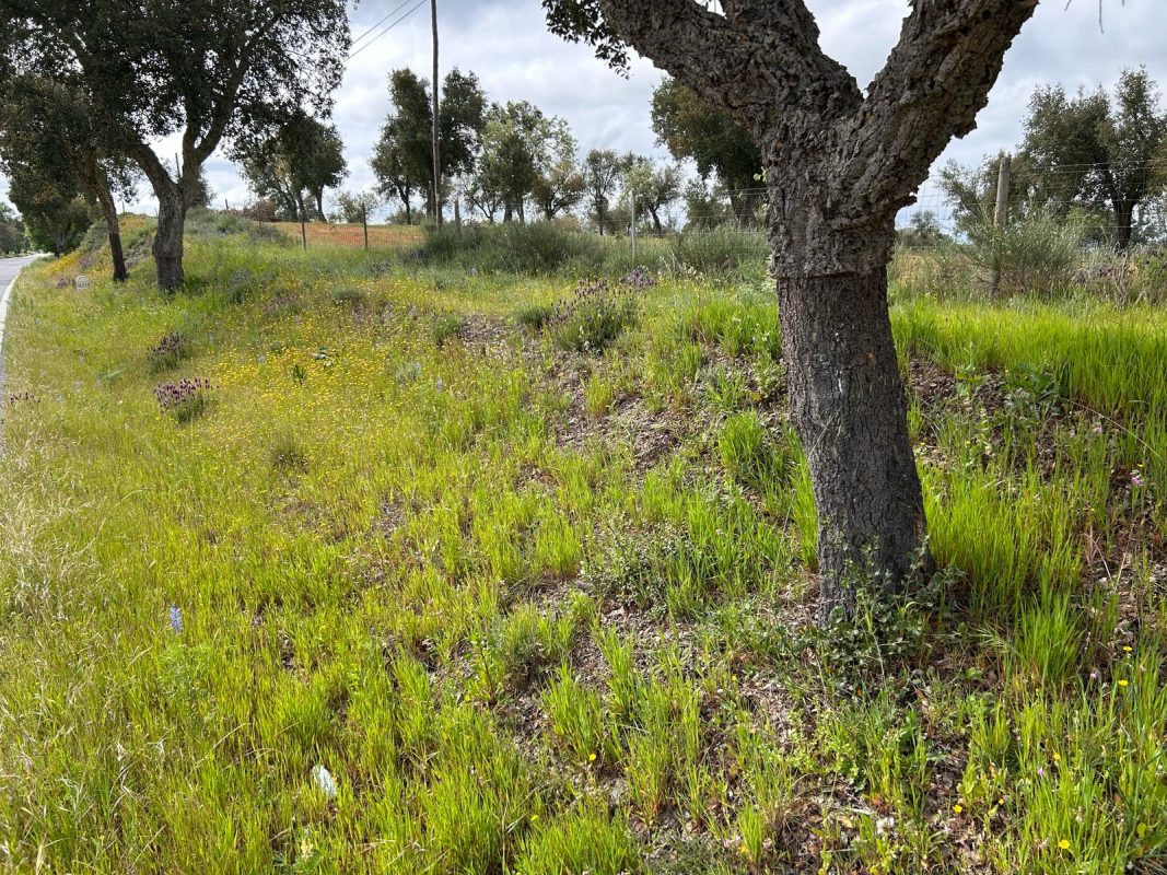 WhatsApp Image 2025-04-13 at 22.03.26