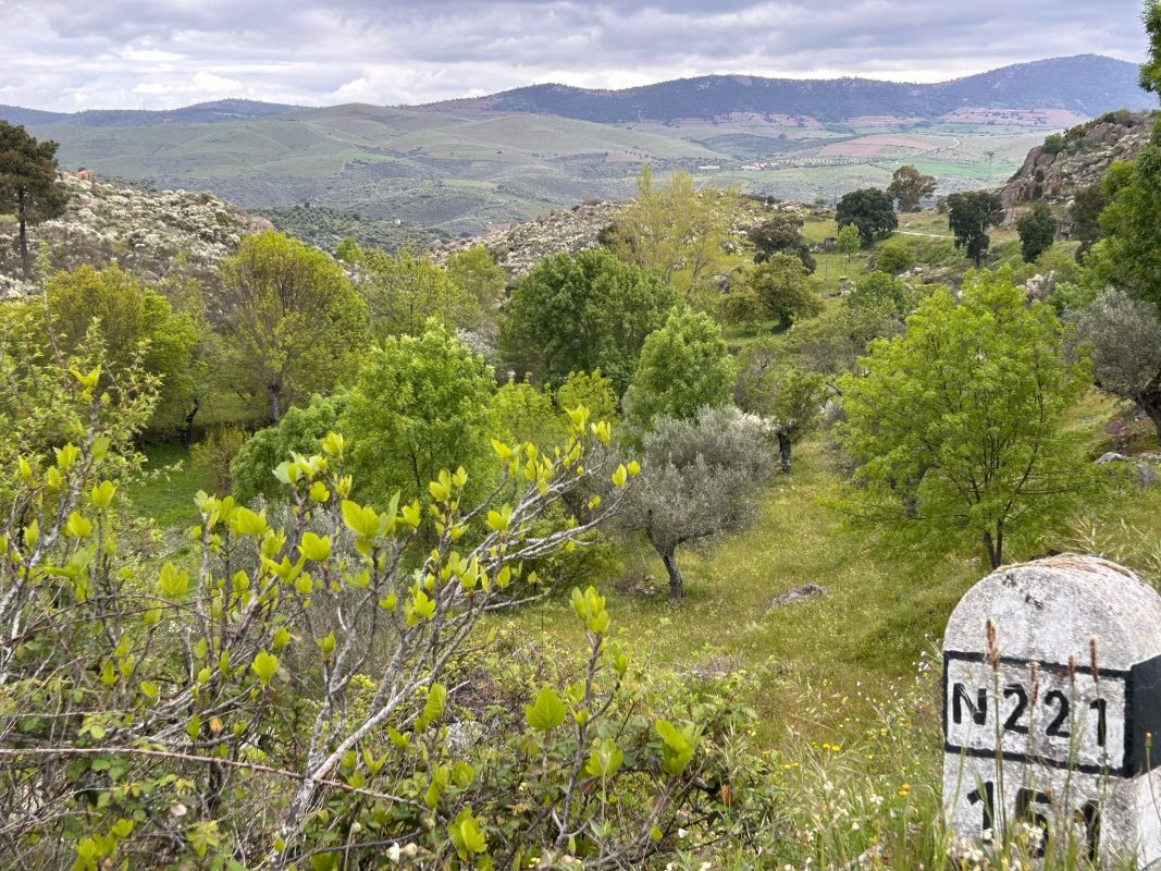 WhatsApp Image 2025-04-13 at 22.03.36 (1)