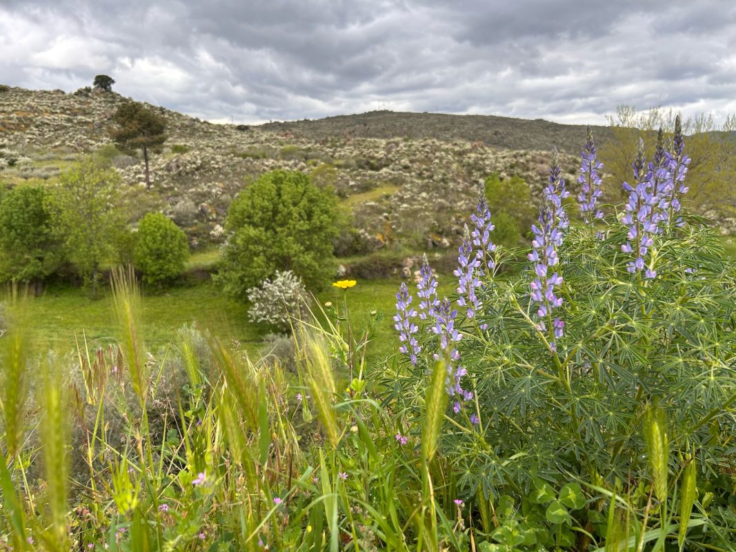 WhatsApp Image 2025-04-13 at 22.03.36