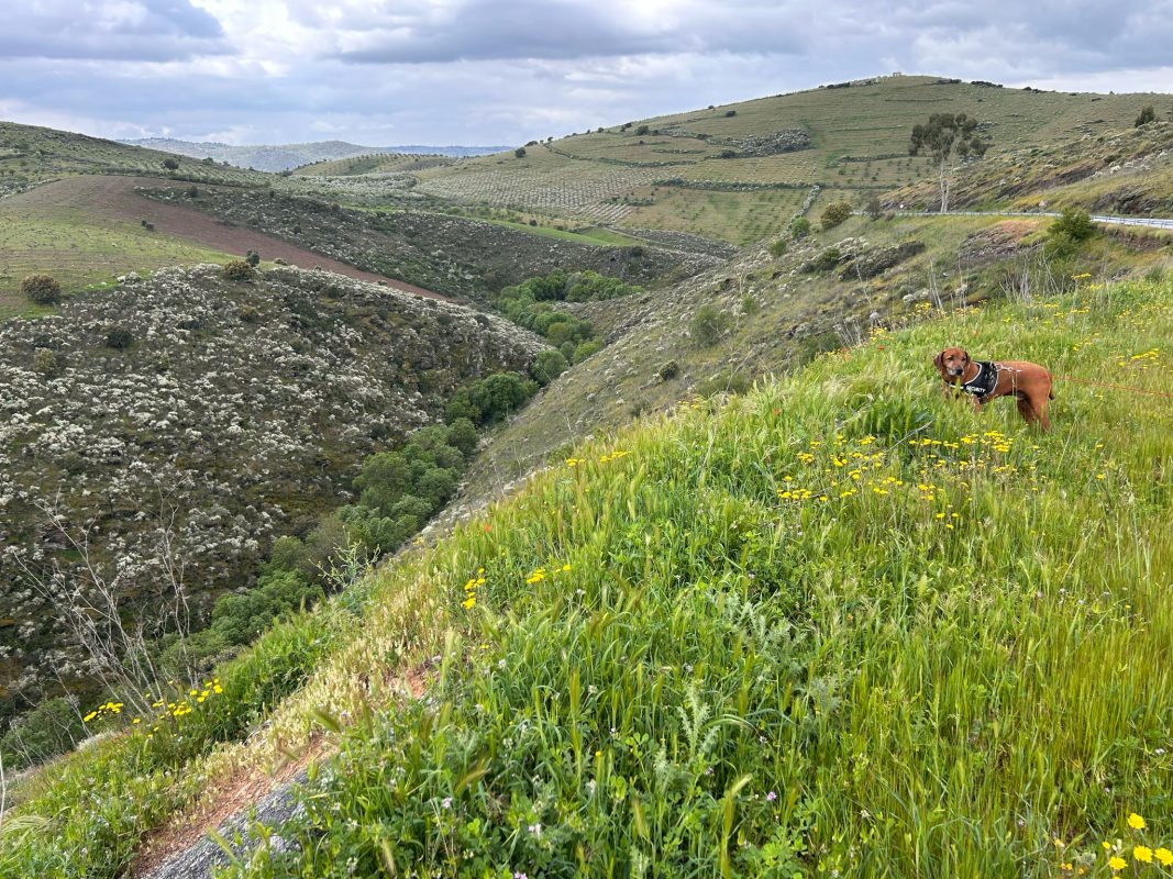 WhatsApp Image 2025-04-13 at 22.03.38