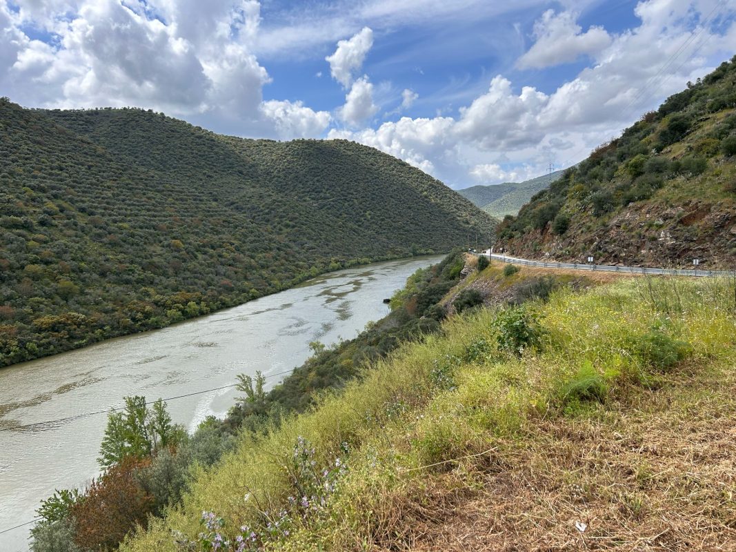 WhatsApp Image 2025-04-13 at 22.03.39 (1)