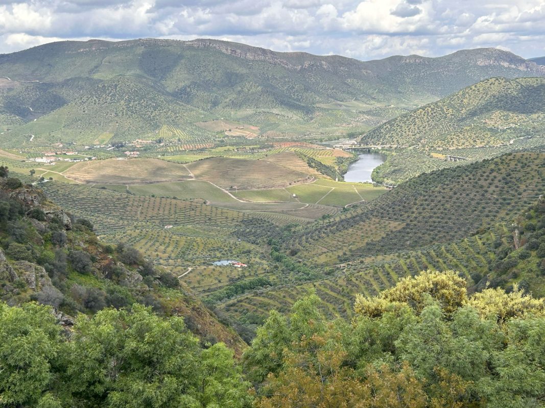 WhatsApp Image 2025-04-13 at 22.03.39