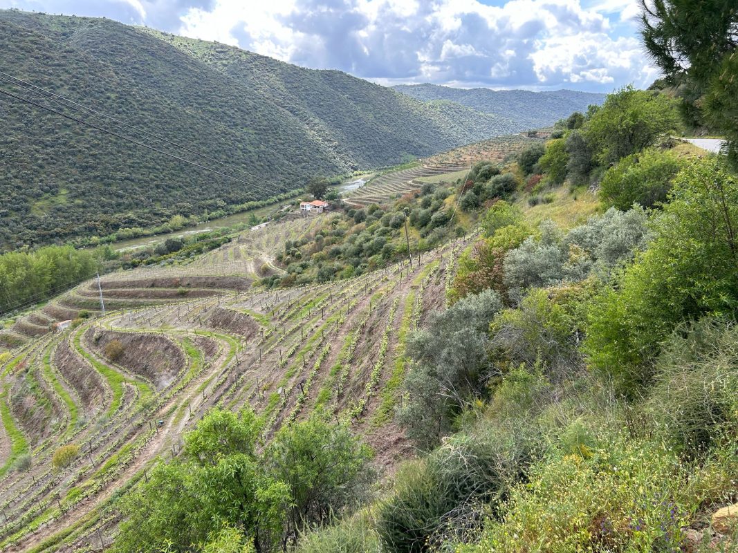 WhatsApp Image 2025-04-13 at 22.03.40 (1)