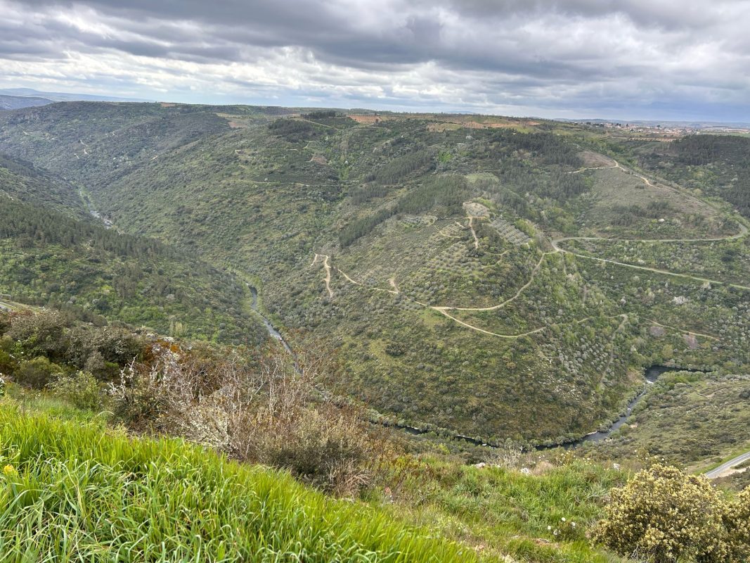 WhatsApp Image 2025-04-18 at 18.21.04