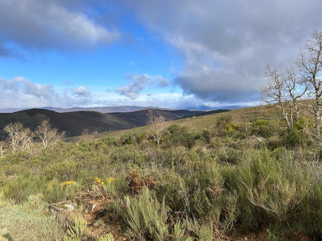 WhatsApp Image 2025-04-18 at 18.21.06