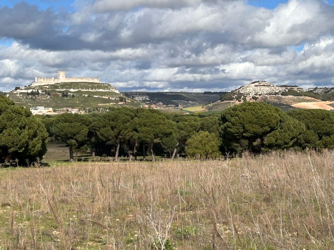 WhatsApp Image 2025-04-18 at 18.21.10