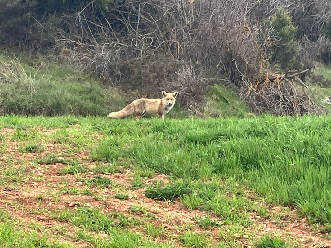 WhatsApp Image 2025-04-18 at 18.22.05