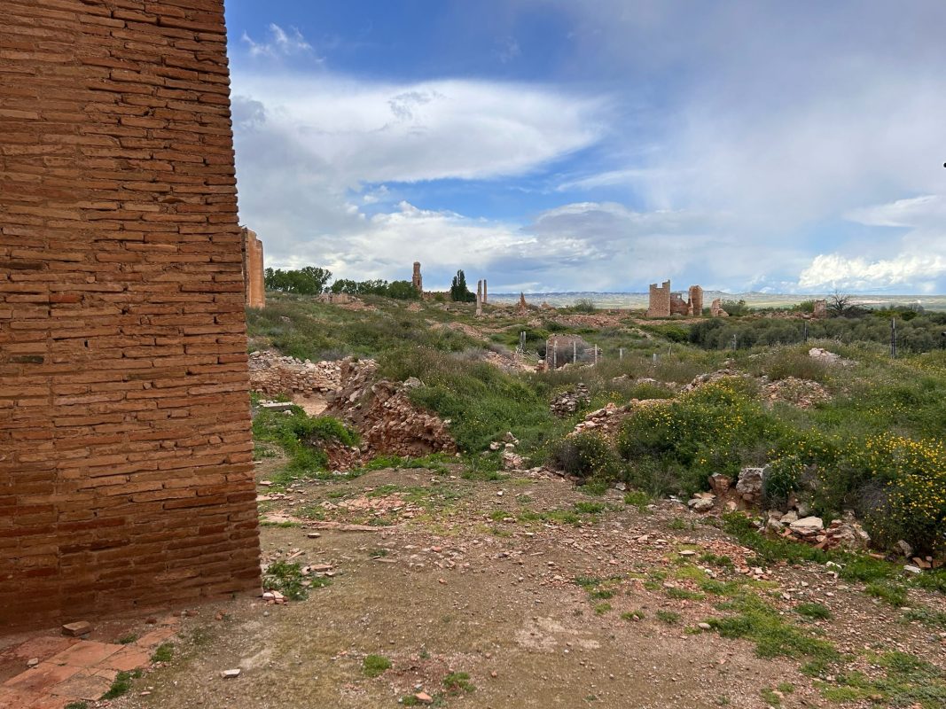 WhatsApp Image 2025-04-23 at 21.16.54