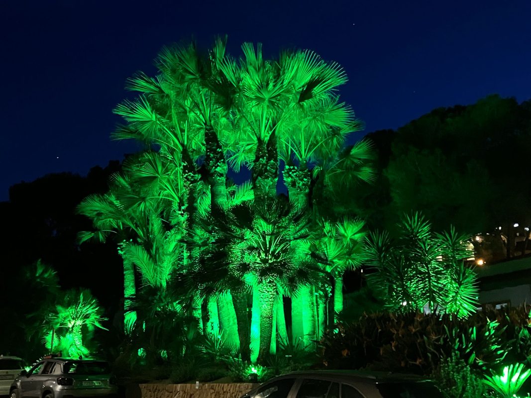 WhatsApp Image 2025-04-23 at 21.17.02