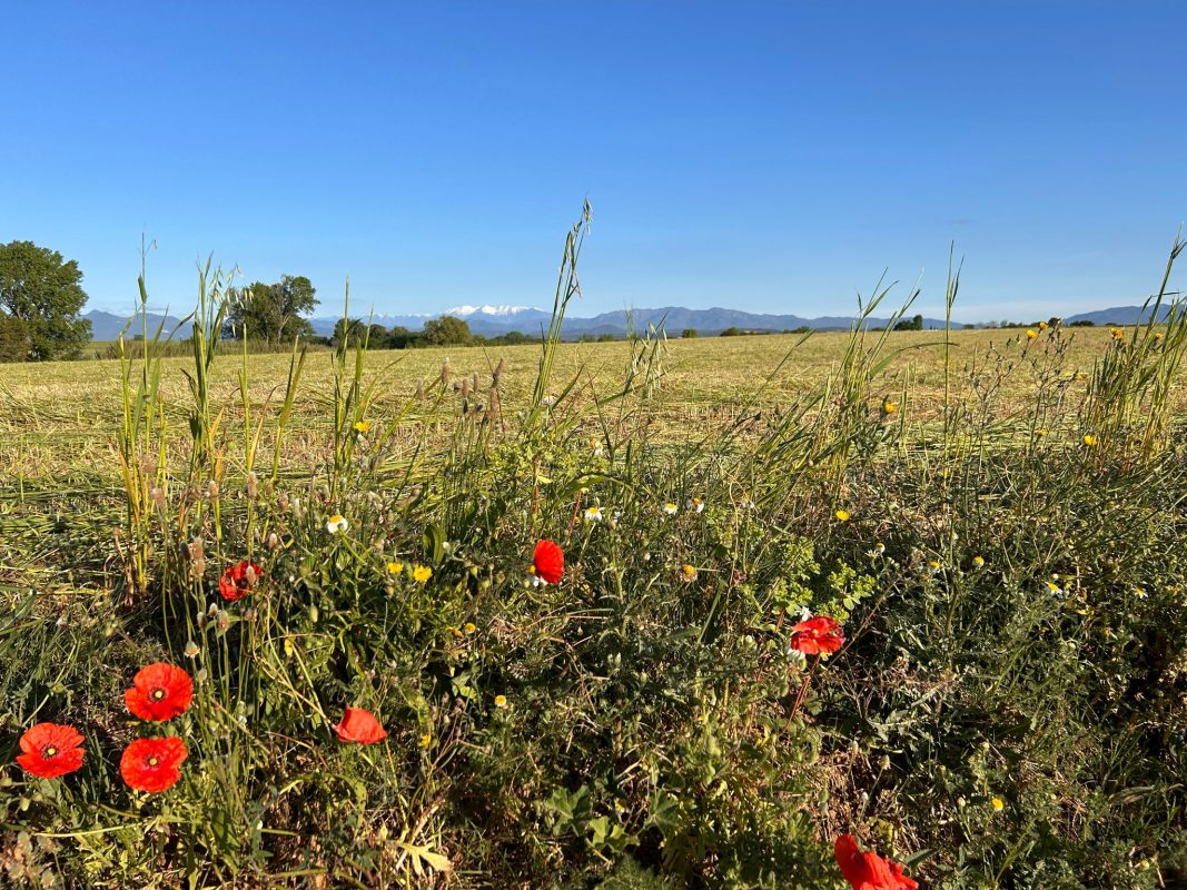 WhatsApp Image 2025-04-23 at 21.17.11